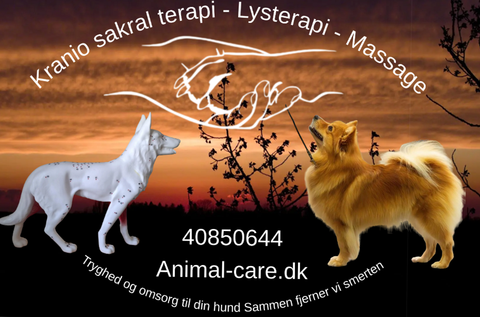 animal-care.dk